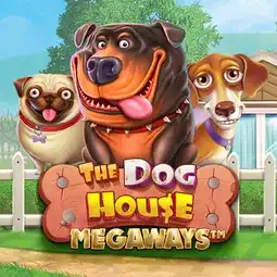 The Dog House Megaways jeu proposé par Lucky8 Casino pour les joueurs en France