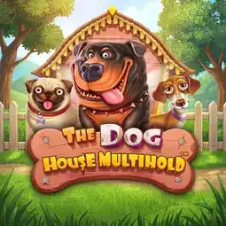 The Dog House Multihold jeu proposé par Lucky8 Casino pour les joueurs en France